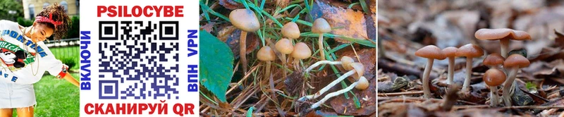 Галлюциногенные грибы MAGIC MUSHROOMS  Зима 